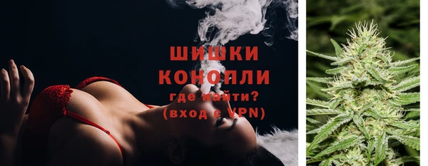 шишки Балахна