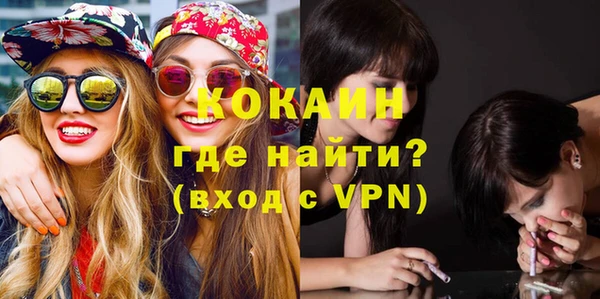 шишки Балахна