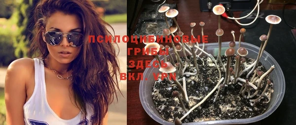 шишки Балахна